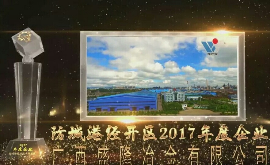 防城港经开区2017年度企业及人物获奖喜报
